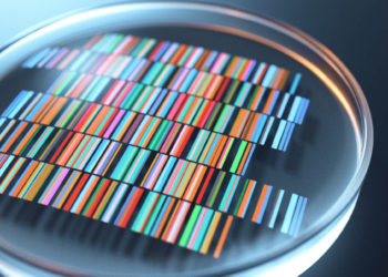 Crypto Exchange Operator Affiliate to Launch Blockchain Genome Platform