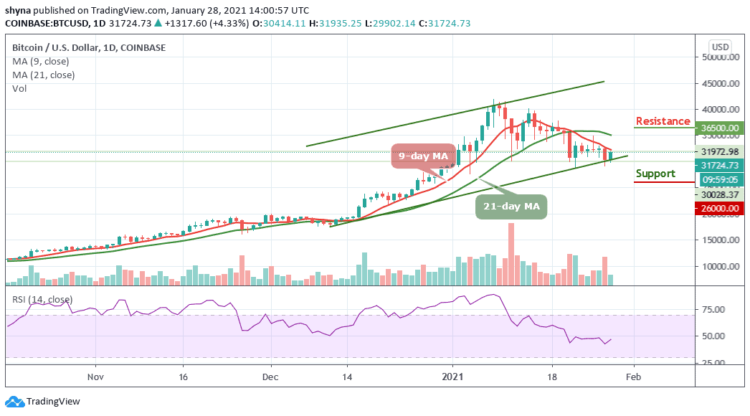 BTC/USD Holds Steady Above $30,000 Level; Price Awaits Breakout