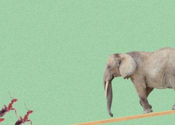 Michael Casey: Narratives Wall Street Can’t Control