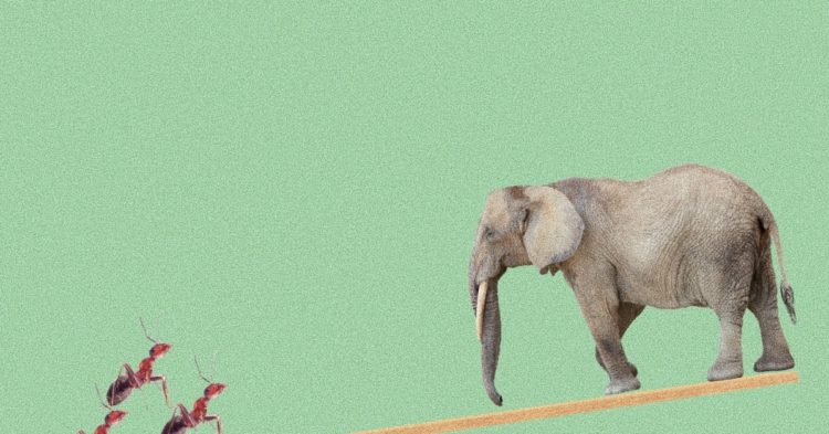 Michael Casey: Narratives Wall Street Can’t Control