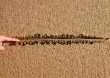 Here’s The Line Separating Bitcoin Dominance From Altcoin Season