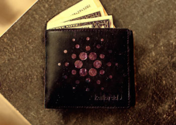 The total number of ADA wallets increased by almost 40% in 2021