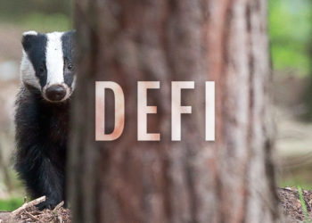 Ampleforth-like Bitcoin rebasing token DIGG drops: crypto stimulus checks