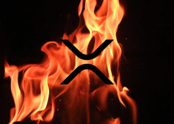 Ripple CTO says the company would burn 48 billion XRP if “majority wanted rule change”