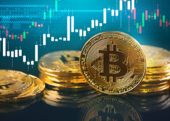 Ark Investment Study Suggests BTC Value Will Rise by $40,000 if All S&P 500 Companies ‘Allocate 1% of Their Cash to Bitcoin’