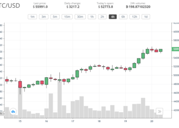 BTC and ETH prices hit new highs in week three of February