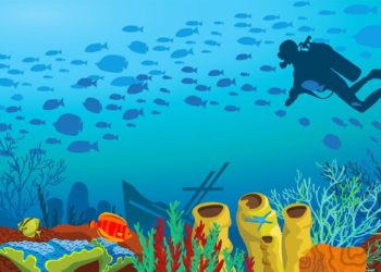 How to master the exciting world of DeFi