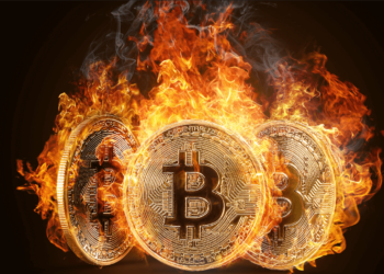 Why Bitcoin Likes a Hard-On Environment