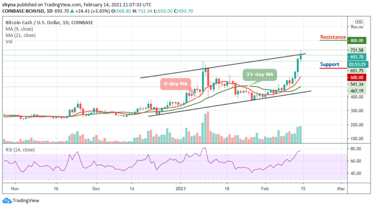 Bitcoin Cash Price Prediction: BCH/USD Exhibits Positive Signs; Price Hits $732 High