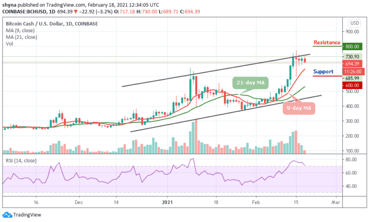 BCH/USD Resumes Downtrend as Price Eyes $255 Support