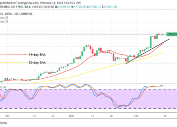 Bitcoin Price Prediction: BTC/USD Market Consolidates Closely Below $50,000 Value
