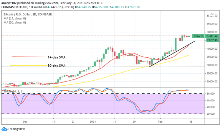 Bitcoin Price Prediction: BTC/USD Market Consolidates Closely Below $50,000 Value