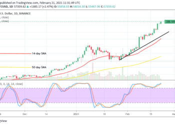 Bitcoin Price Prediction: BTC/USD Now Trades Closely Averaging Resistance Level at $60,000 Mark