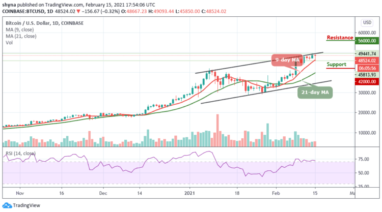 BTC/USD Rebounds as Price Regains Strength above $48,500