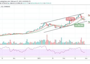 BTC/USD Bulls Get Ready For Another Attempt On $50,000 Resistance