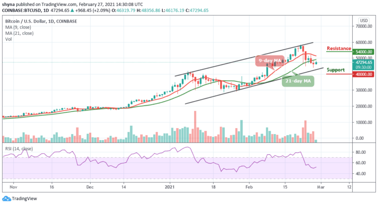 BTC/USD Bulls Get Ready For Another Attempt On $50,000 Resistance