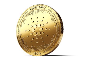 3 Reasons Why 2021 is Shaping up to be The Year of Cardano