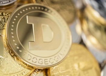 Elon Musk Spurs Unprecedented Interest In Dogecoin in the U.S.