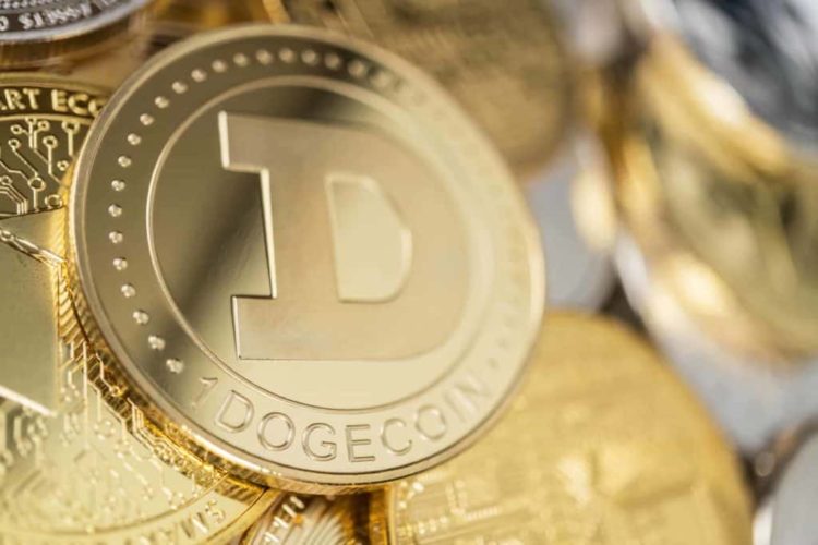 Elon Musk Spurs Unprecedented Interest In Dogecoin in the U.S.
