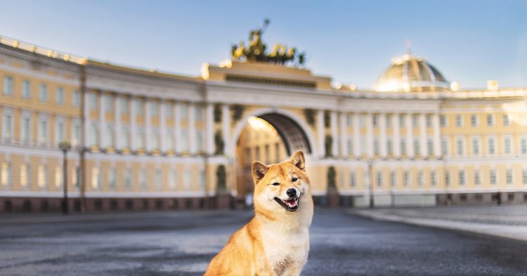 What Does Dogecoin Have to Do With Government Crypto Bans?