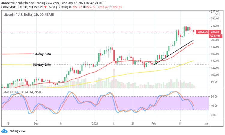 Litecoin Price Prediction: LTC/USD Witnesses a Line of Price Convergence Around $240