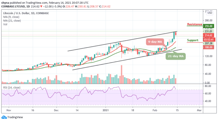 Litecoin Price Prediction: After Touching $230; LTC/USD Lost Over $12 in a Matter of Hours
