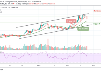 LTC/USD Extends Correction to $180 Support; What Next?