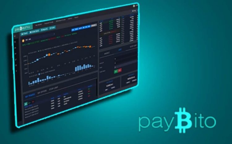 US Exchange PayBito Halts XRP Trading Amidst SEC Lawsuit