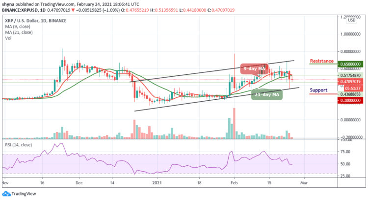 Bears Show Face as XRP/USD Loses $0.5 Support