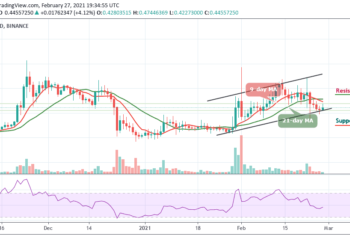 XRP/USD Regains Ground Above $0.45; Still Vulnerable To Losses
