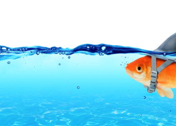 Altcoins Bleed After Tesla Bitcoin Buy, BTC Dominance Hints At Deception