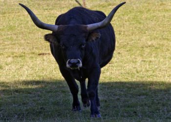 Traders Going Bullish For Ethereum With $6.5 Billion Open Interest