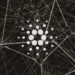 Cardano’s Babel fees mechanism allow users to pay transaction fees in native tokens