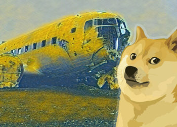 Dogecoin “supporters” turn on DOGE as Reddit-fueled craze ends with 50% correction