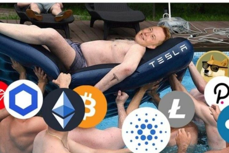 Pumping, Dumping, Rallying, Jumping and 20 Crypto Jokes