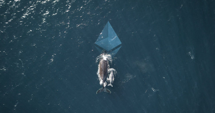 Whales might’ve caused Ethereum’s (ETH) 50% dive on Kraken, says CEO