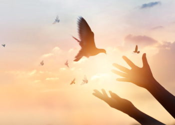 Bitcoin Consolidated above $36K, Why BTC Could Start A Fresh Increase