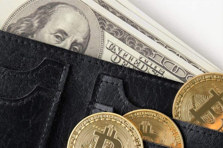 More Professionals Trust Crypto Than Want To Get Paid In It