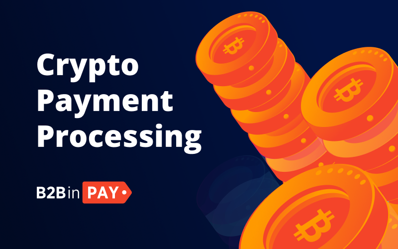 crypto payment platform coin payment system