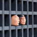 Japanese Crypto Tax Evader Hit with Year-long Jail Sentence