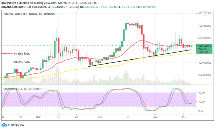 Bitcoin Cash Price Prediction: BCH/USD Yet Getting Prepared for Potential Upsurges