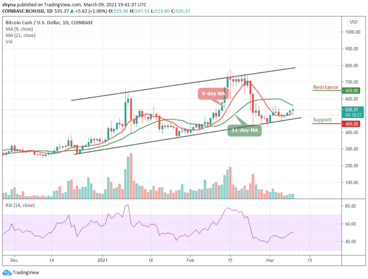 Bitcoin Cash (BCH) Surges By 1.06% to Keep Bullish Movement Intact