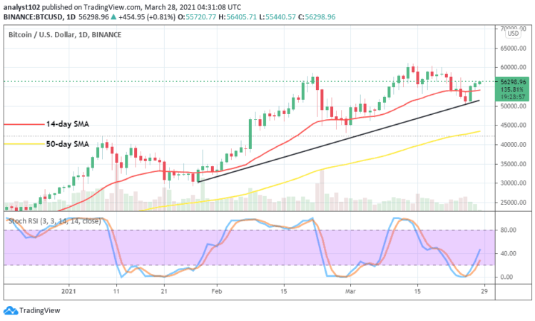 Bitcoin Price Prediction: BTC/USD Finds New Support near $50,000, as the $60,000 Remains a Major Resistance Line
