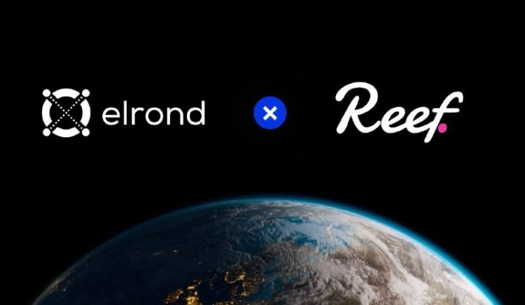 Reef Finance joins forces with Elrond to build a DeFi bridge