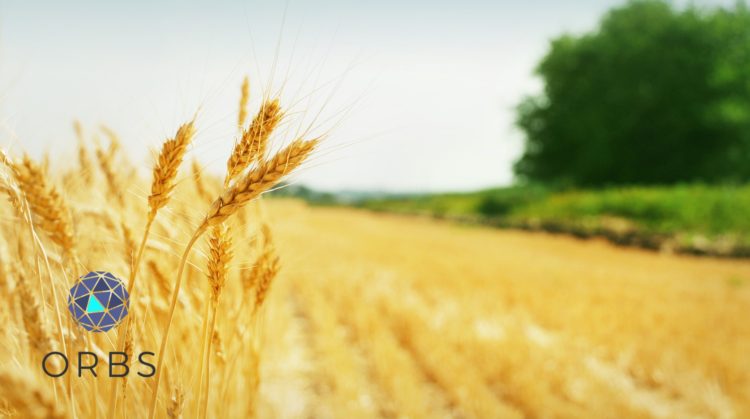 Orbs launches Liquidity Nexus to introduce liquidity as a service