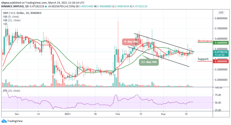 XRP/USD Fluctuates; Price Must Avoid Sliding to $0.40 Support