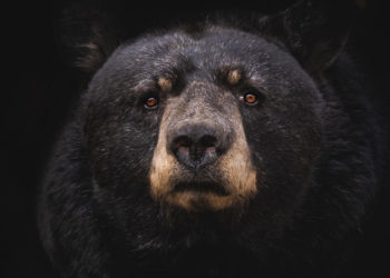 $663 million liquidated after Bitcoin wicks under $57,000