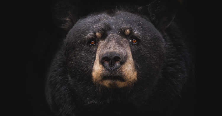 $663 million liquidated after Bitcoin wicks under $57,000