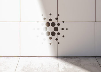 Cardano crosses 500k accounts and Daedalus launches native-asset support