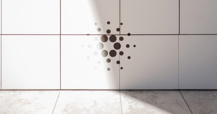 Cardano crosses 500k accounts and Daedalus launches native-asset support